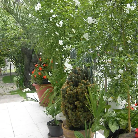 Πανσιόν Sarokhaz 2*