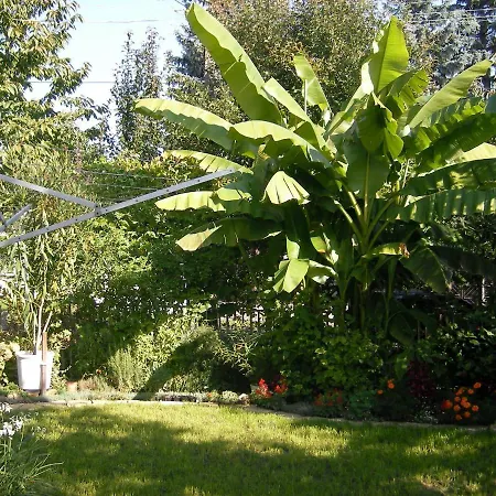 Sarokhaz كيستاي