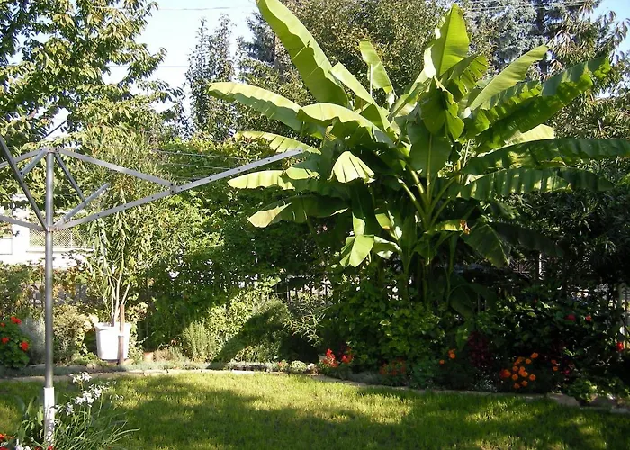 Sarokhaz קסזטלי