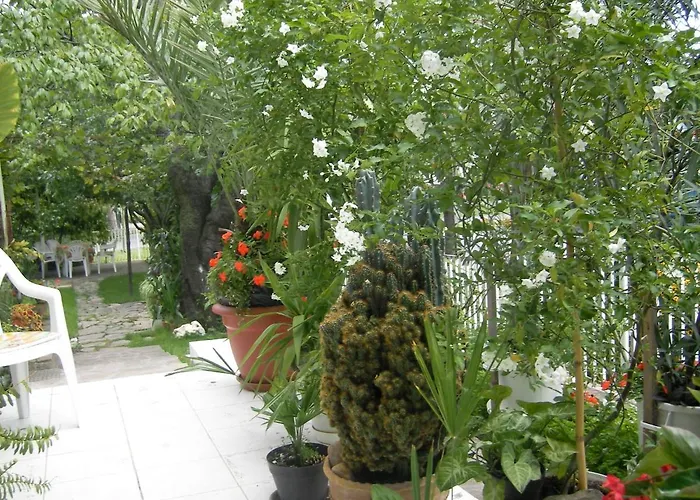 בית הארחה Sarokhaz 2*